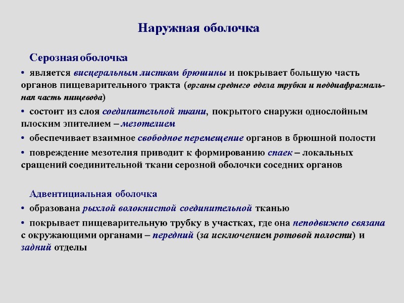 Наружная оболочка Серозная оболочка является висцеральным листком брюшины и покрывает большую часть органов пищеварительного